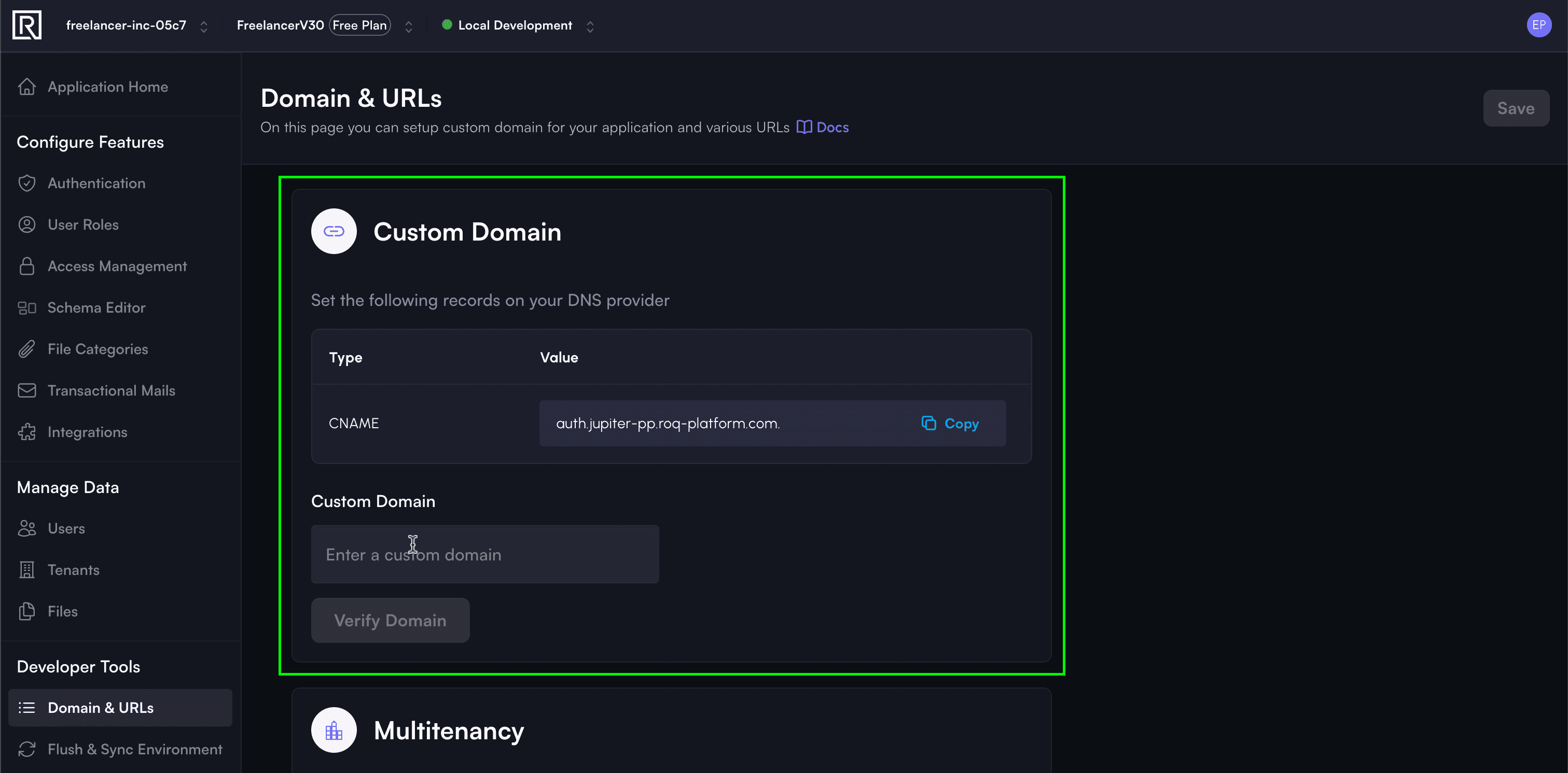 cusotm domain